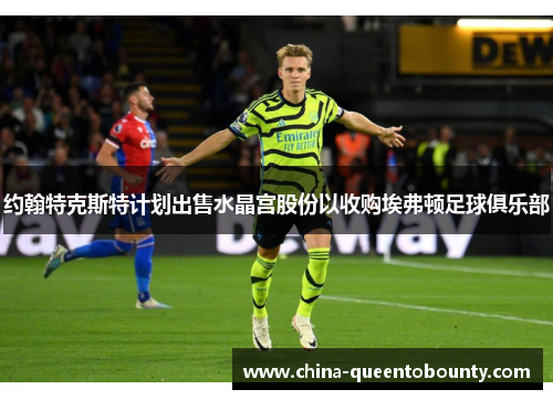 约翰特克斯特计划出售水晶宫股份以收购埃弗顿足球俱乐部 约翰特克斯特计划出售水晶宫股份以收购埃弗顿足球俱乐部
